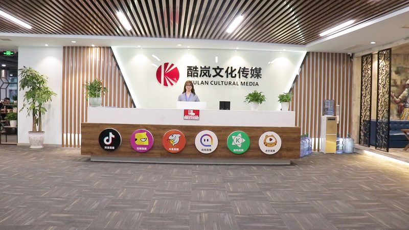 北京mg动画制作团队：揭秘高质量动画背后的秘密